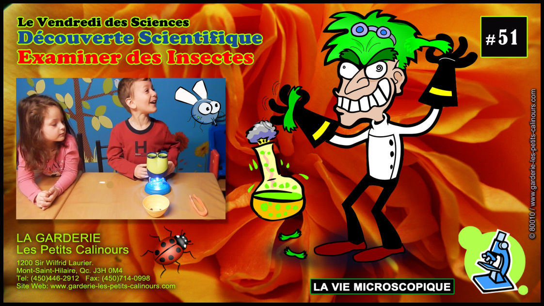 Les Activités Éducatives
